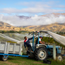 Carrick Unravelled Pinot Noir 2021