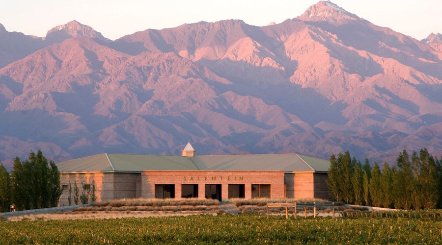 Bodegas Salentein named Winery of the Year 2026!