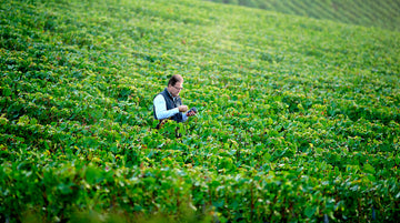 Charles Heidsieck shines as Cyril Brun was crowned the Best Sparkling Winemaker of the Year 2019 at International Wine Challenge