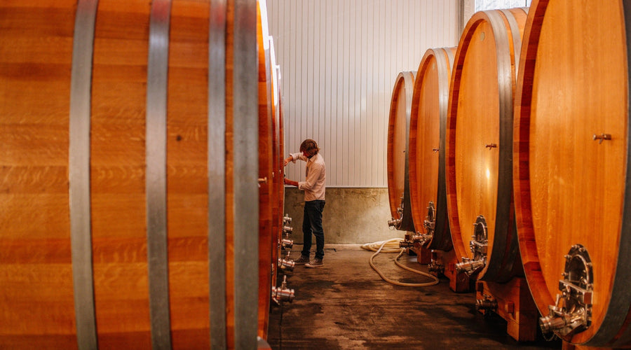 De Martino named one of the World's 50 Best Wineries 2025