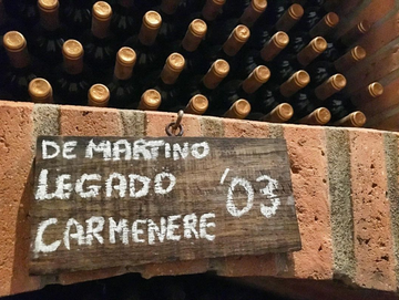 De Martino – Forward Thinkers of Chilean Wines