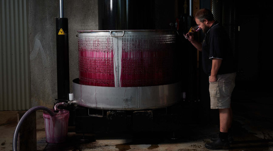 Wild Duck Creek Estate