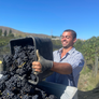 Carrick Unravelled Pinot Noir 2021