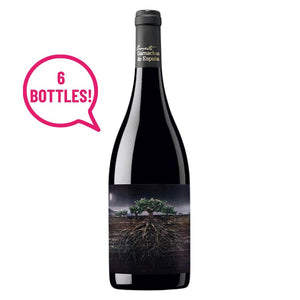 Proyecto Garnachas de España Fosca del Priorat 2019 (x6)