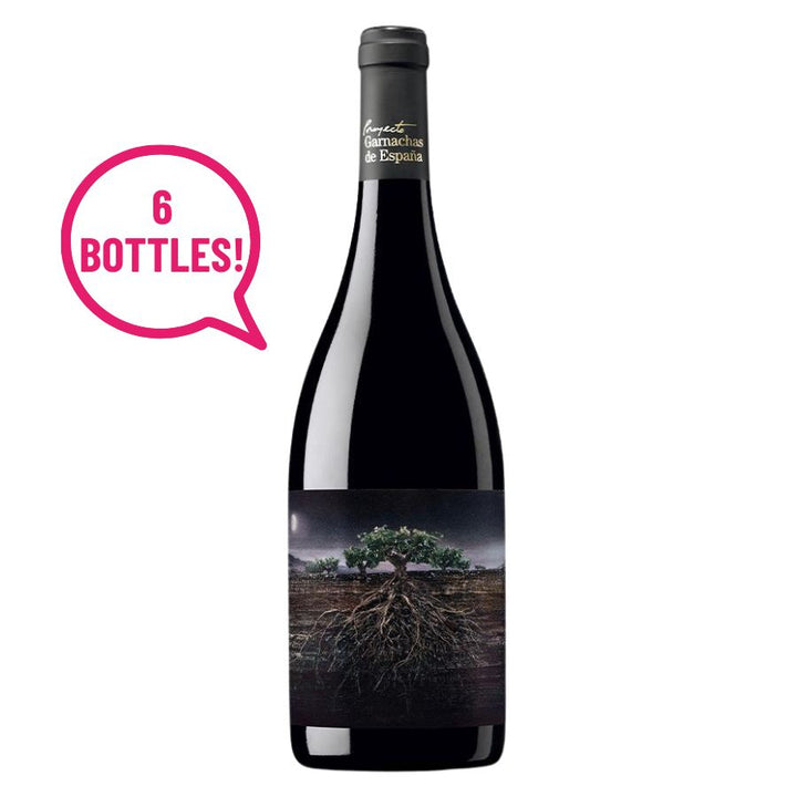 Proyecto Garnachas de España Fosca del Priorat 2019 (x6)