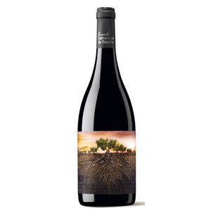 Proyecto Garnachas de España Olvidada de Aragon 2021