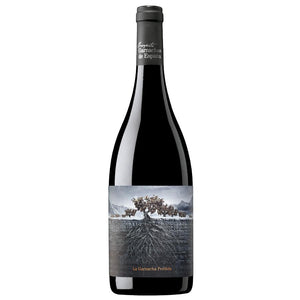 Proyecto Garnachas de España Perdida del Pirineo 2019